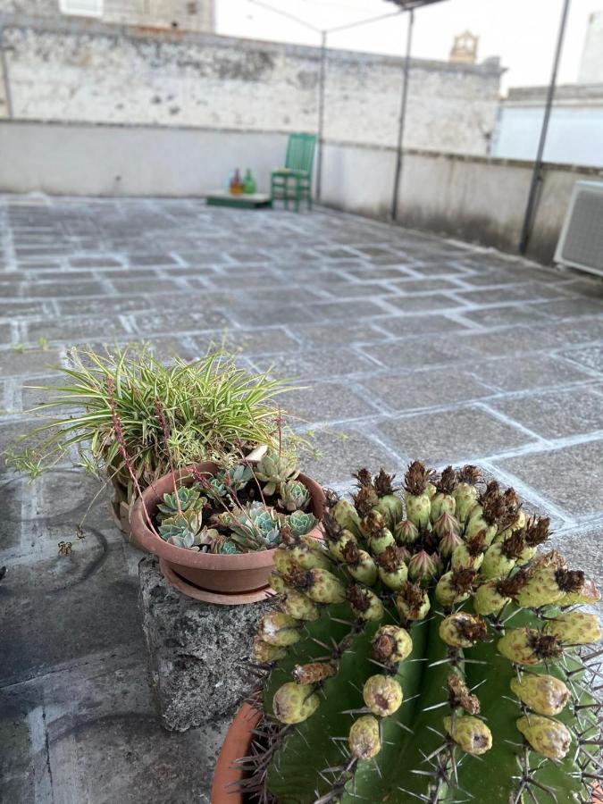 شقة غالاتينا  في Li Beddhrizzi House المظهر الخارجي الصورة